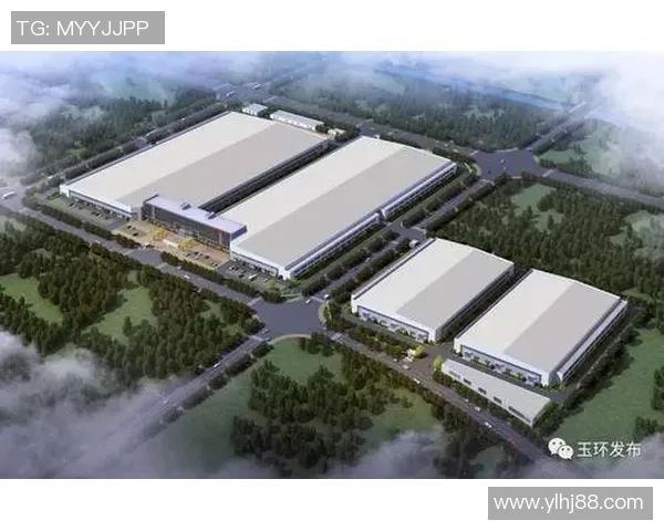 专业解析LNG市场控制策略与应对措施的深度剖析 专业解析LNG市场控制策略与应对措施的深度剖析