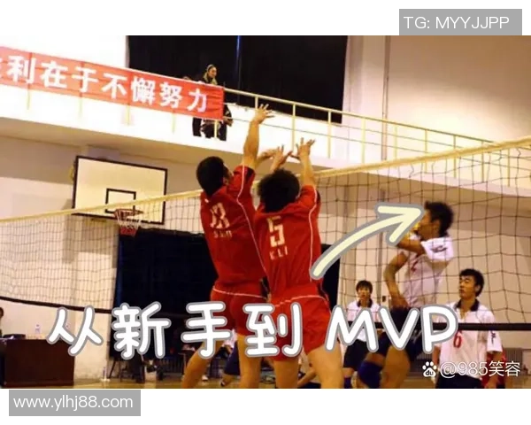上海排球队选拔赛点评团队协作表现分析与未来发展建议