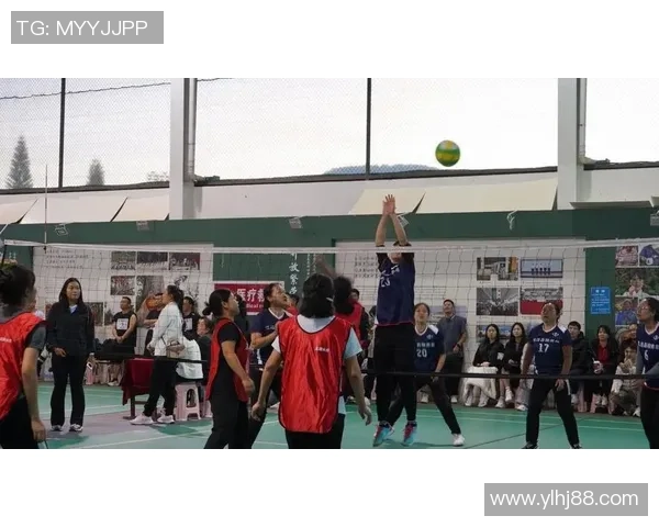 深圳排球队团队协作新模式引发热议助力竞技水平提升