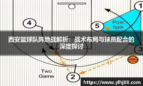 西安篮球队阵地战解析：战术布局与球员配合的深度探讨